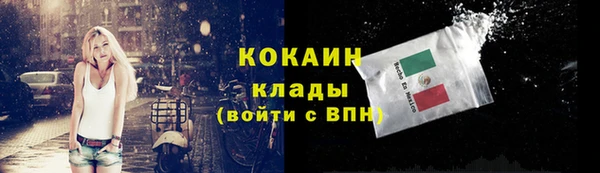прущие грибы Абинск