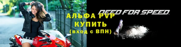 ECSTASY Абаза