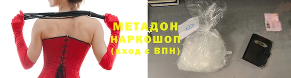 прущие грибы Абинск