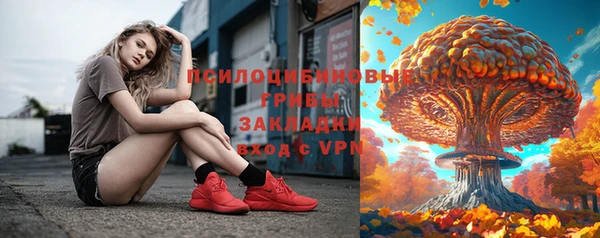 прущие грибы Абинск